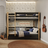 Black and oak bunk bed with a drawer - wooden railing and ladder, Nizio