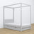 Bed grey with canopy – drawer for an extra mattress, wooden